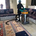 sofa and carpet cleaning